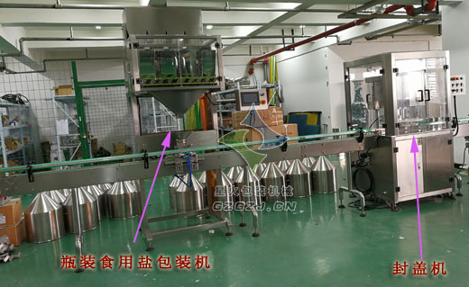 瓶裝食用鹽包裝生產(chǎn)線,塑料瓶裝食用鹽包裝設(shè)備