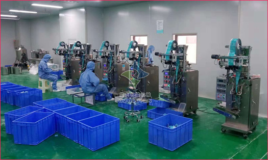 小袋清潔鹽包裝機(jī)